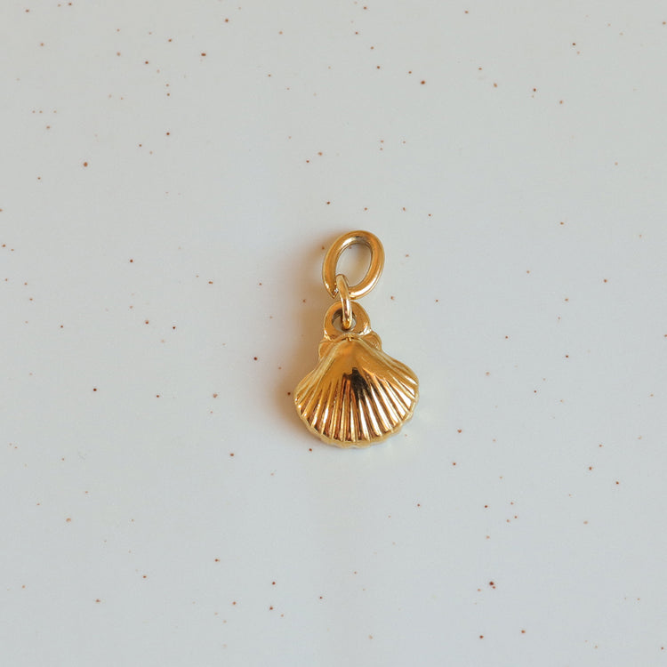 SEASHELL CHARM