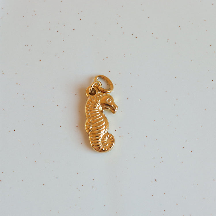 SEA HORSE CHARM