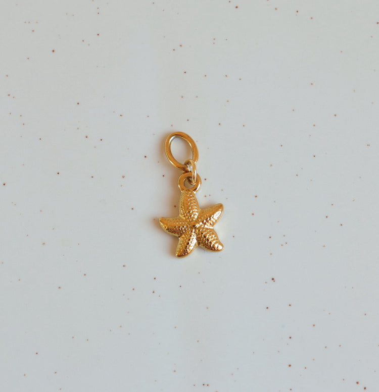 SEA STAR CHARM