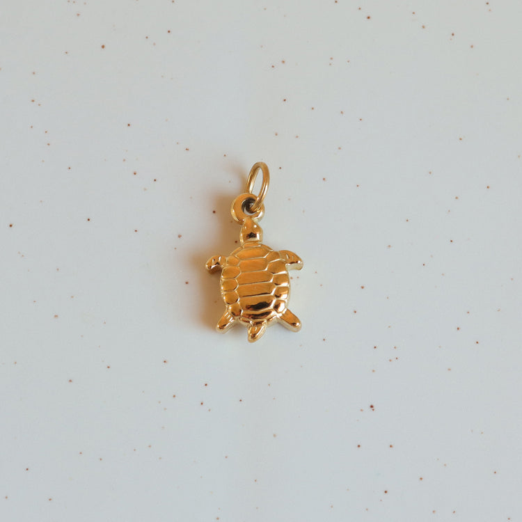 TURTLE CHARM